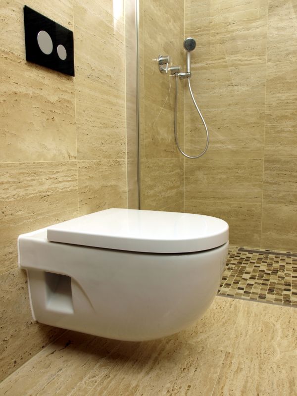Wall-Mounted Toilet