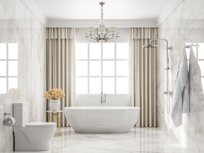 Elegant Bathtub Design